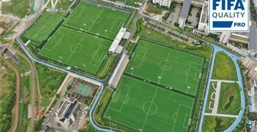 全球首个！德甲圣保利球场将覆盖巨型彩虹光伏系统