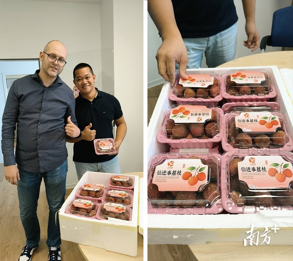 在德国法兰克福，茂名荔枝“甜蜜邂逅”文成杨梅