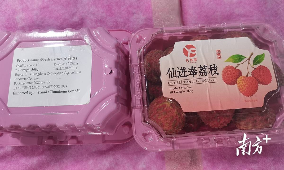 在德国法兰克福，茂名荔枝“甜蜜邂逅”文成杨梅