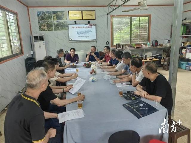 在德国法兰克福，茂名荔枝“甜蜜邂逅”文成杨梅